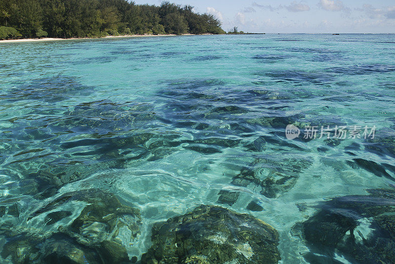 波利尼西亚海