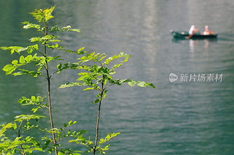 湖上的夏天