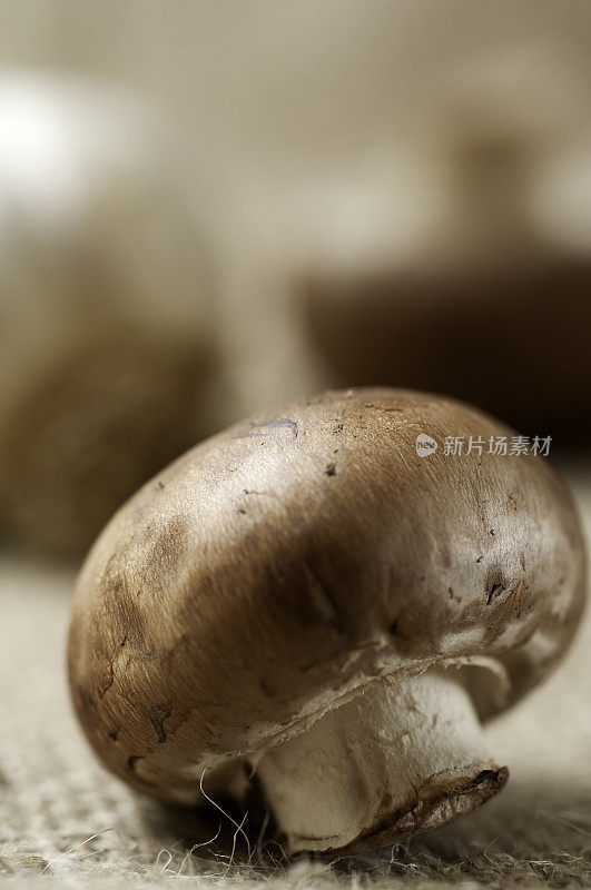 粗麻布上的小蘑菇