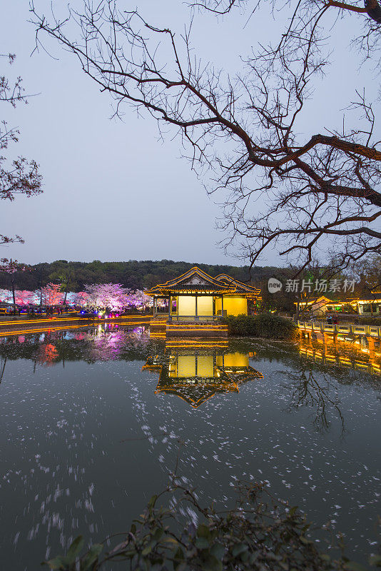 樱花夜古建筑