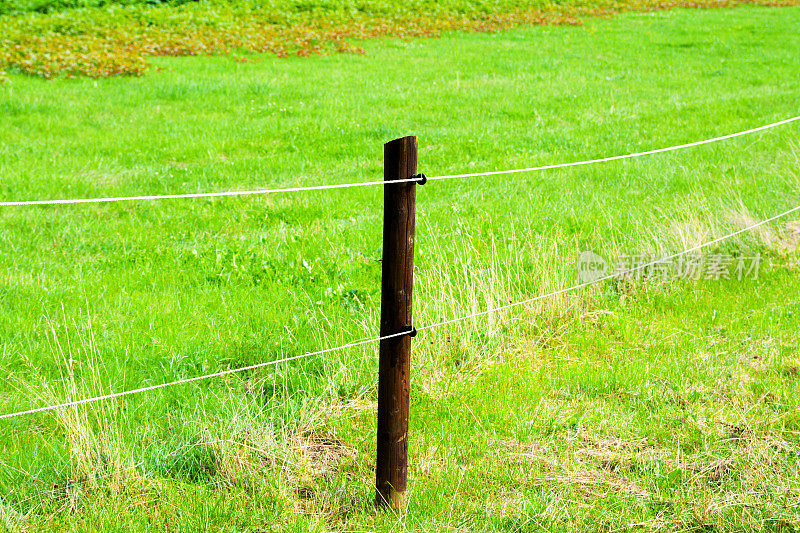 草地上篱笆的木杆