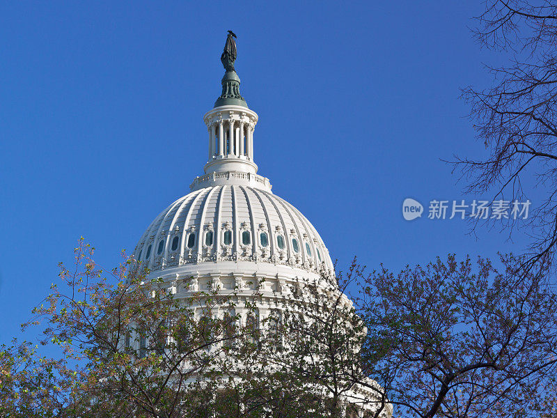 特写国会大厦圆顶，华盛顿特区。蓝色的天空。