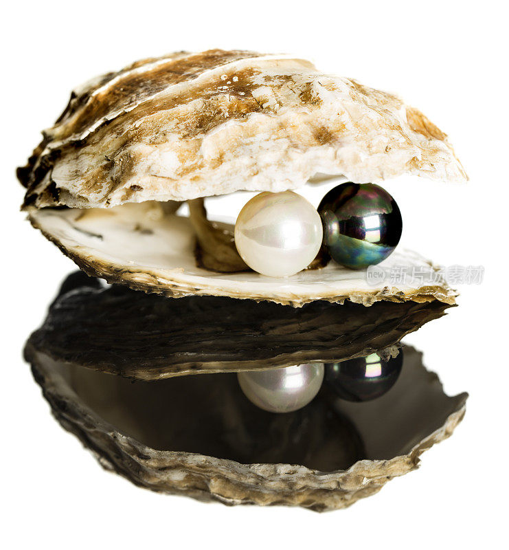 牡蛎和黑白珍珠