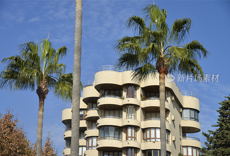 豪华玛贝拉度假公寓和棕榈树。