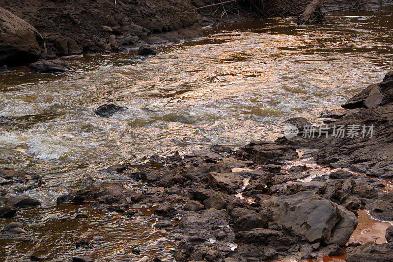 秘鲁:亚马逊河中的小溪