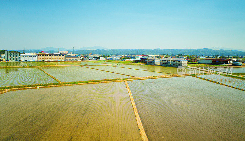 日本长冈附近的水稻田