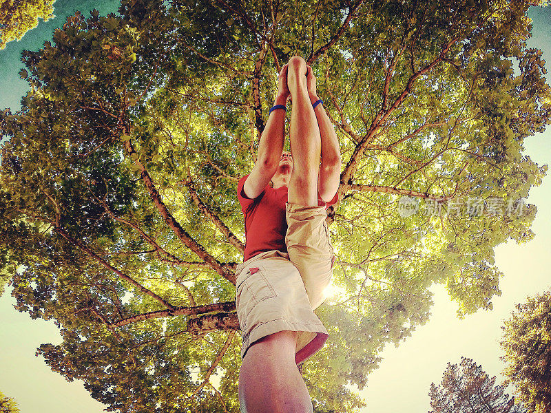 在树下做瑜伽