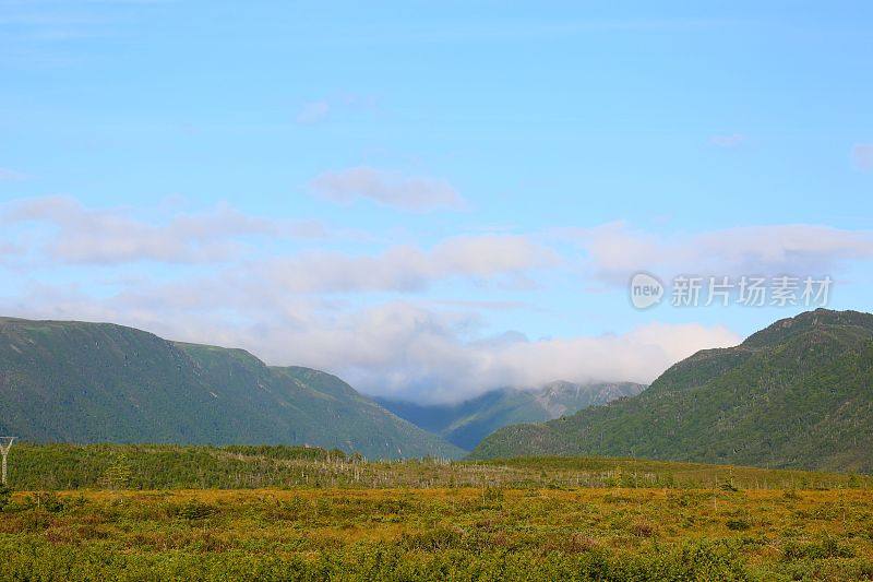 纽芬兰山景