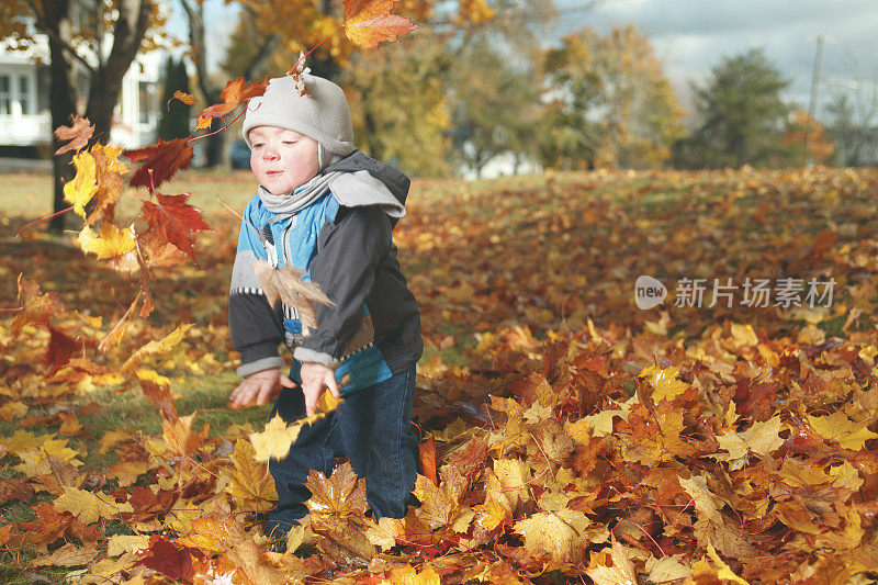 秋叶上的男孩-秋天