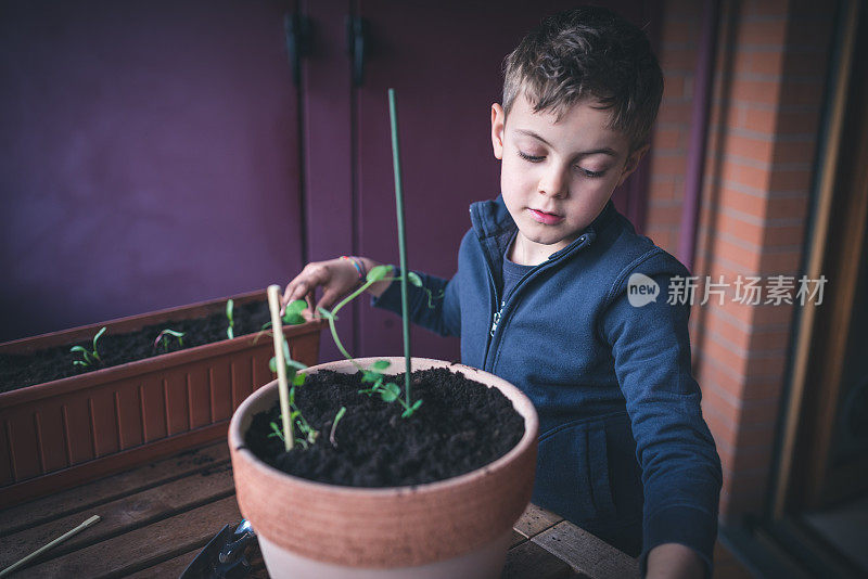 孩子照顾植物