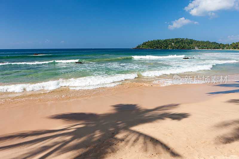 热带天堂-田园诗般的海滩，棕榈树，斯里兰卡