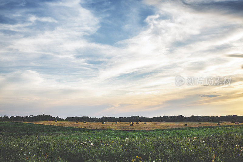 草地上的夕阳