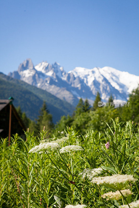 令人惊叹的布兰德山和迷笛山