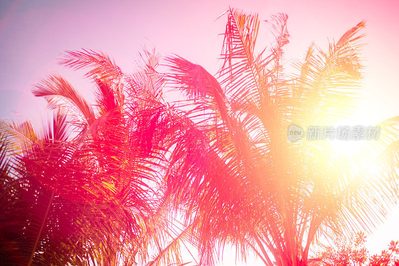 复制空间剪影热带棕榈树与阳光在日落天空和云抽象背景。暑期旅游与自然探险理念。复古色调过滤效果色彩风格。