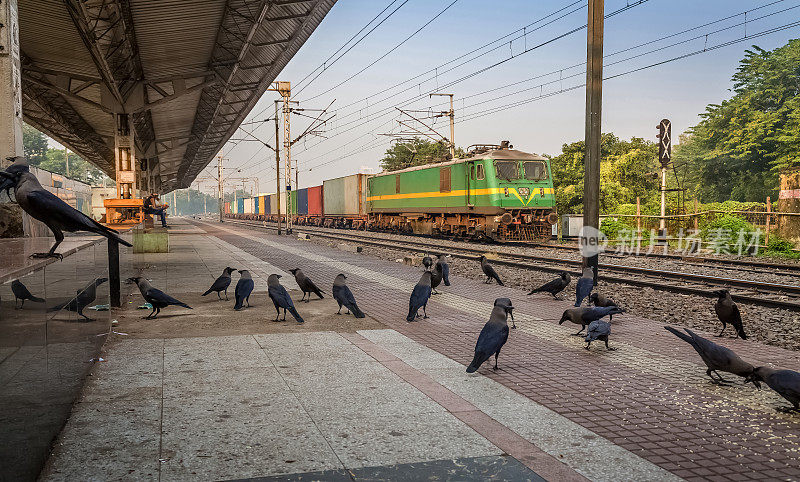 清晨，印度加尔各答的一列当地货物火车穿过一个荒凉的火车站。