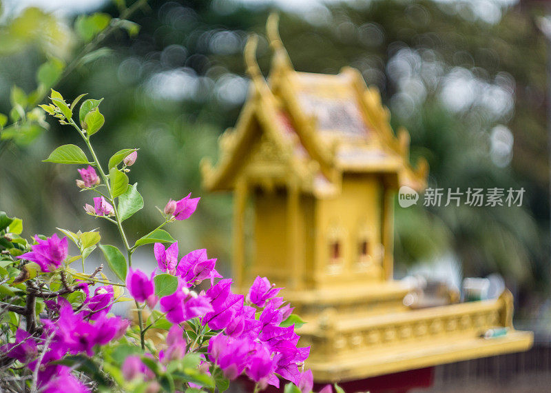 泰国佛教灵屋万物有灵崇拜宗教祭