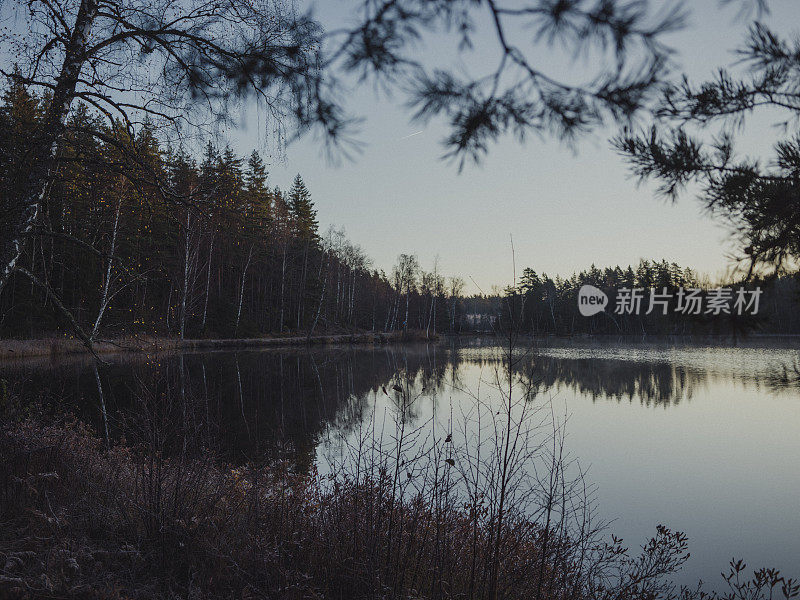 北欧斯堪的纳维亚的自然景观的寒冷照片由一个湖的冬季时间