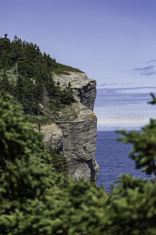 Forillon国家公园的悬崖，加斯皮半岛，加拿大魁北克