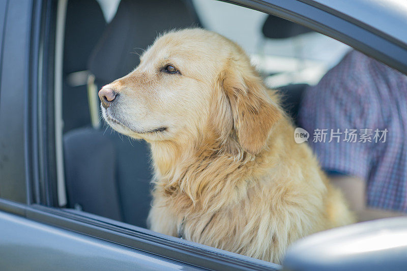 新鲜的空气