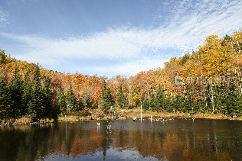 加拿大魁北克夏威尼根美丽的秋天风景。