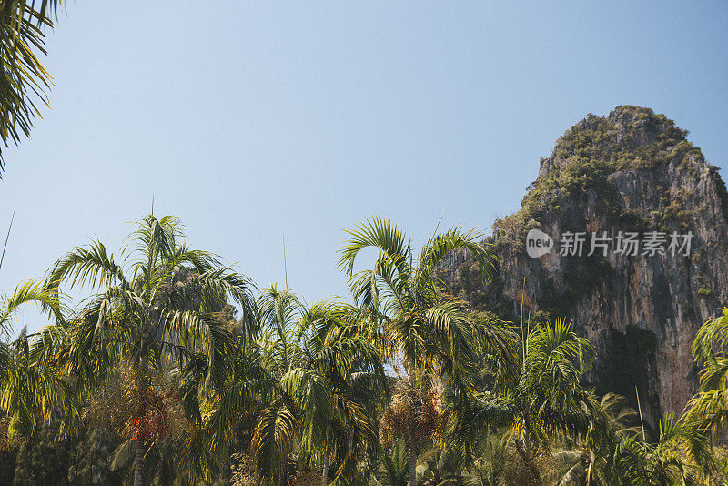 泰国甲米的热带Railay海滩棕榈树景观