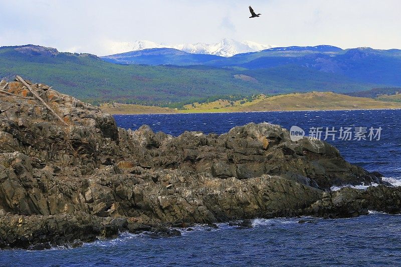 比格尔海峡和海鸟飞翔-安第斯雪山景观，乌斯怀亚