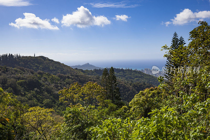 在钻石头和火奴鲁鲁市，瓦胡岛，夏威夷群岛