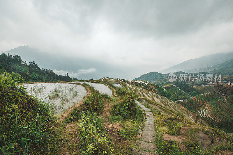 龙胜梯田全景