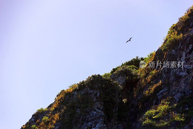 孤独的鸟飞近一座山。