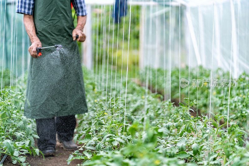 资深农民喷洒植物