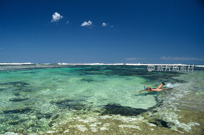 西澳大利亚海岸浮潜