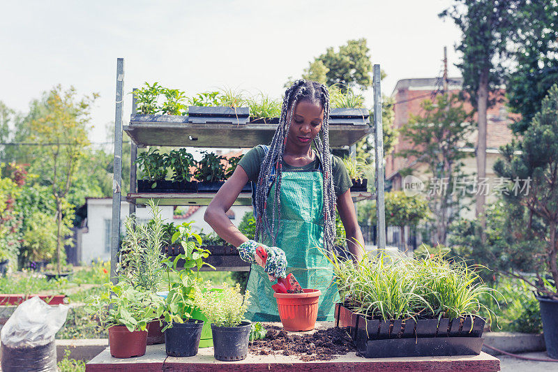 一个非洲女人在后院重新种花盆