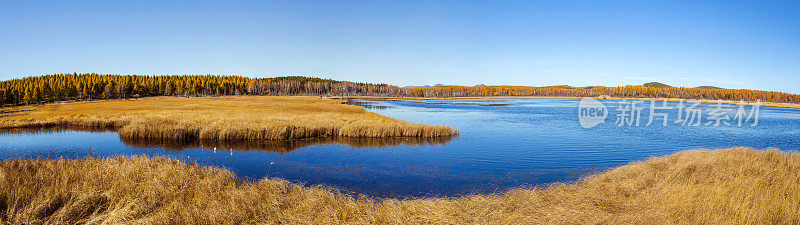 秋季草原和湖泊景观