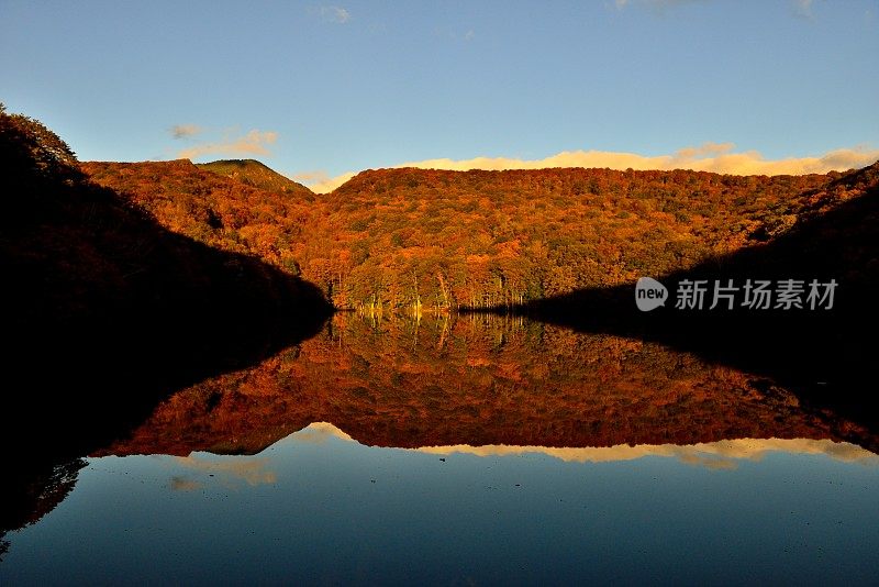 晨光的Tsuta-numa(沼泽)，和田市，日本东北部