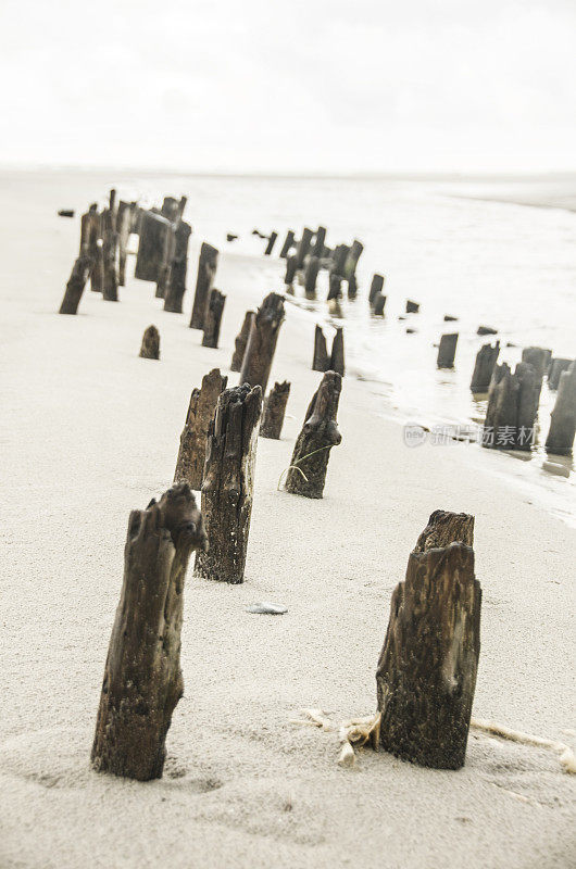 北海海滩上的几块旧木头