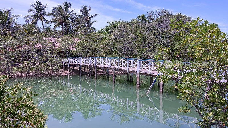 马拉普沙丘海滩红树林河上的木桥