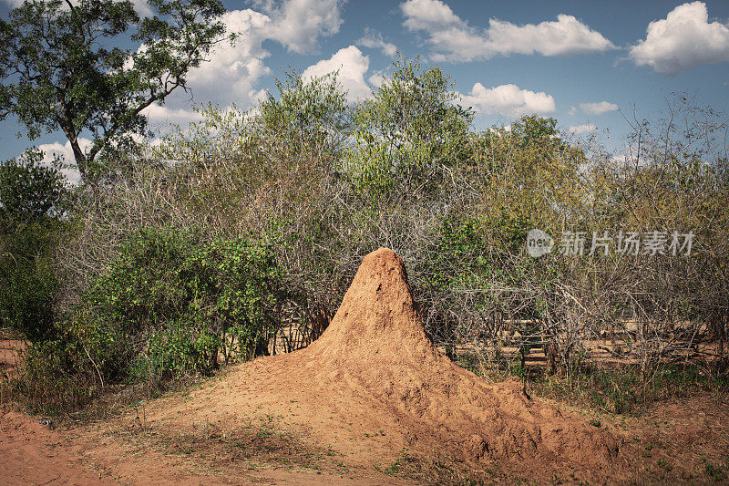 非洲野生动物保护区的白蚁丘