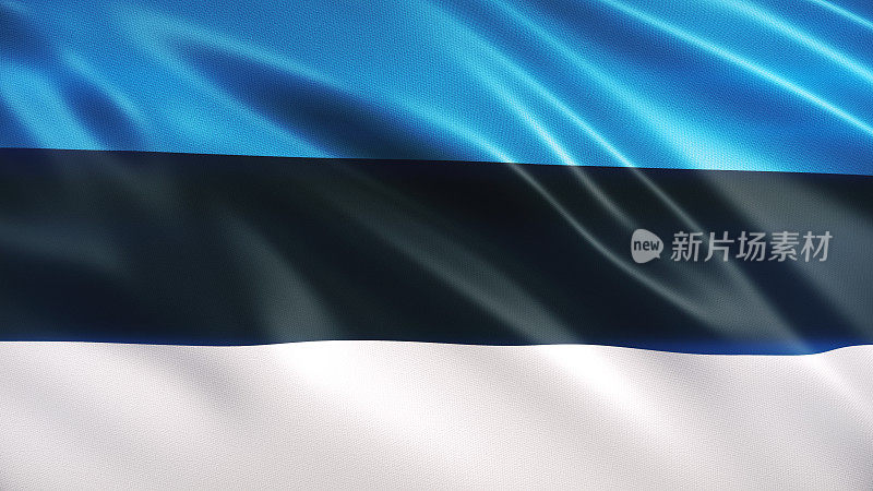 爱沙尼亚的旗帜
