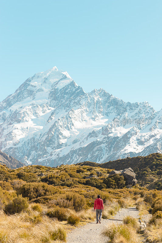 新西兰库克山;独自徒步旅行者在阳光下在库克山徒步路线。