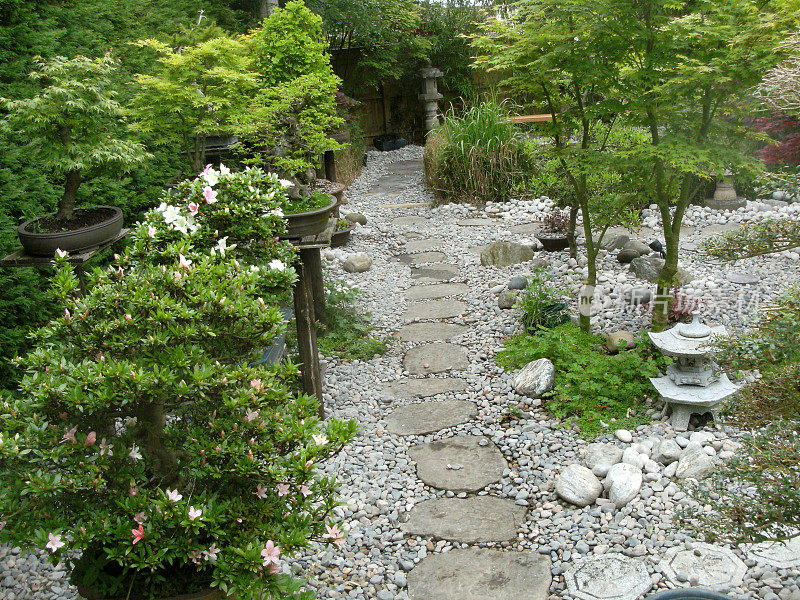 日本元素花园中的踏脚石路径图像，花岗岩灯笼，竹子，鹅卵石，盆景和日本枫树(槭树)