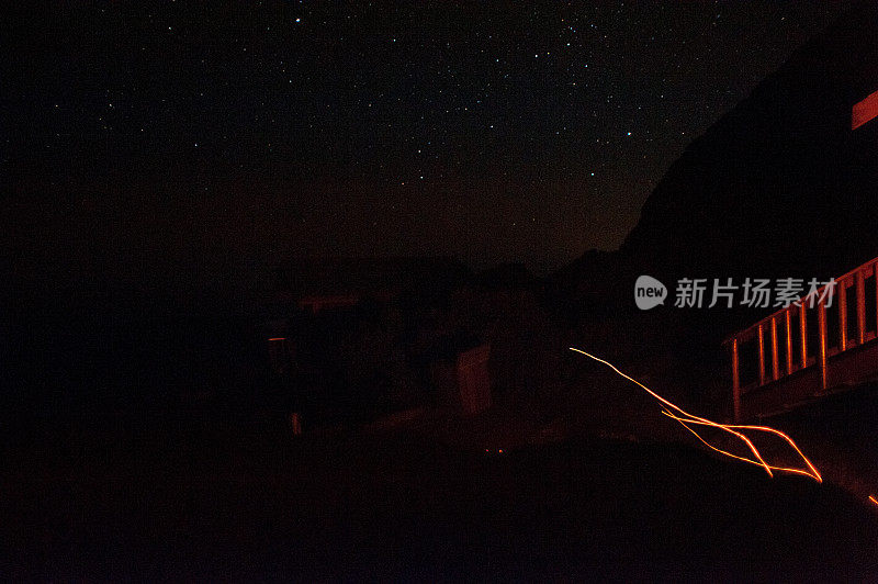 水獭在夜间出没