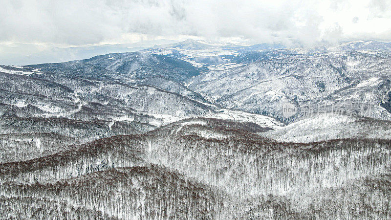 冬季山地、雪山松林、冻林、雪山景观鸟瞰图、雪山山顶、雪松
