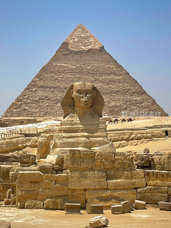 埃及开罗吉萨金字塔前的狮身人面像