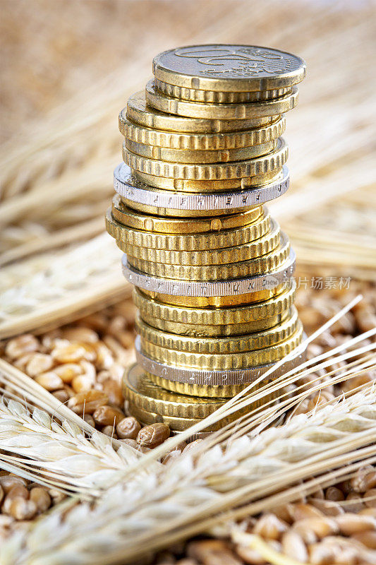 小麦价格上涨的概念