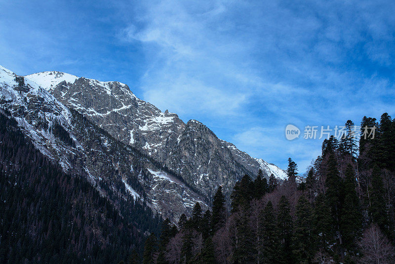 春天在山间，白雪皑皑的山林和松林