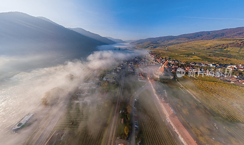在多瑙河上雾蒙蒙的秋天早晨，德瓦豪镇的Weisenkirchen和葡萄园的广角空中全景。瓦豪山谷，奥地利