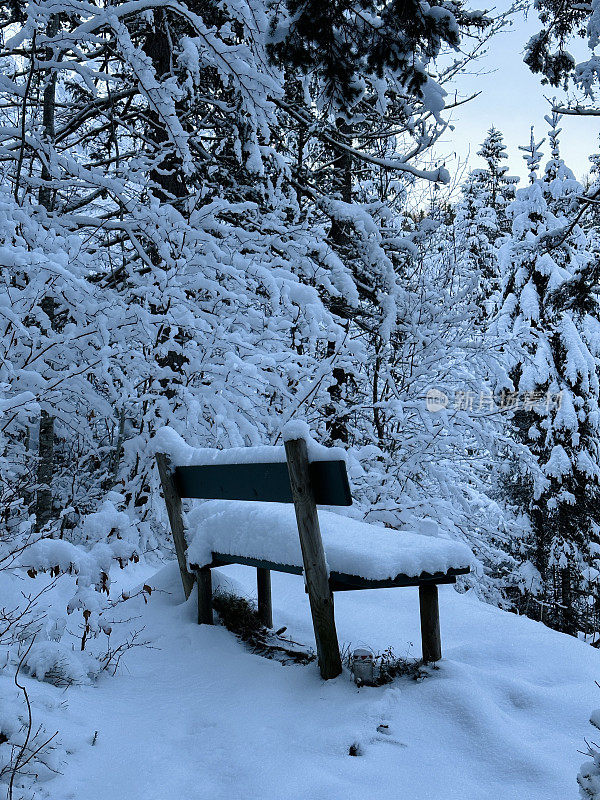 森林里被雪覆盖的长凳