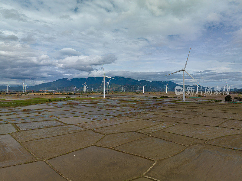 坝奈风力发电机农场在稻田上