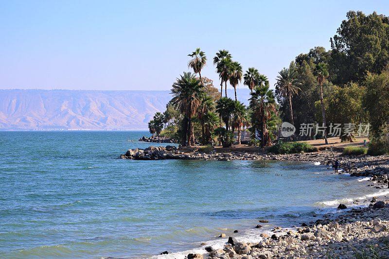 以色列提比哩亚Kineret湖岸边绿色热带树木的风景鸟瞰图