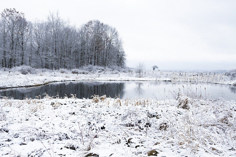 倒影在池塘被雪包围